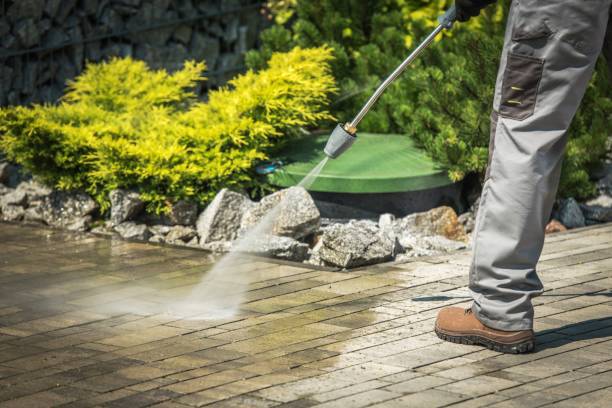 Best Spring Cleaning  in Plantation, FL