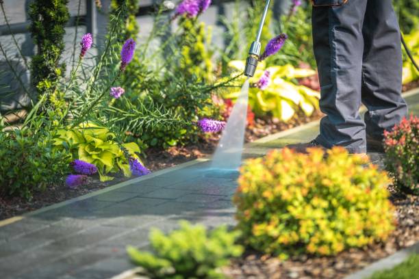 Best Animal Enclosure Cleaning  in Plantation, FL