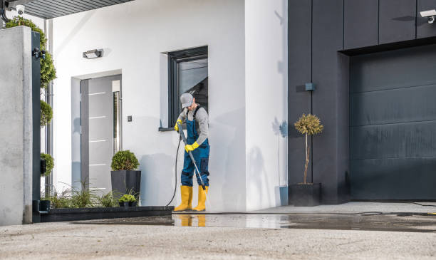 Best Solar Panel Cleaning  in Plantation, FL